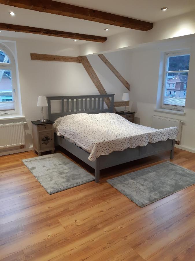 바트샨다우 Haus Moritzburg 아파트 외부 사진
